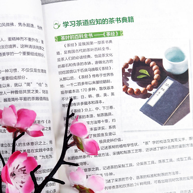🍵揭秘茶中秘籍！《中国茶典》带你从喝茶到懂茶的全过程🌟-茶类书籍
