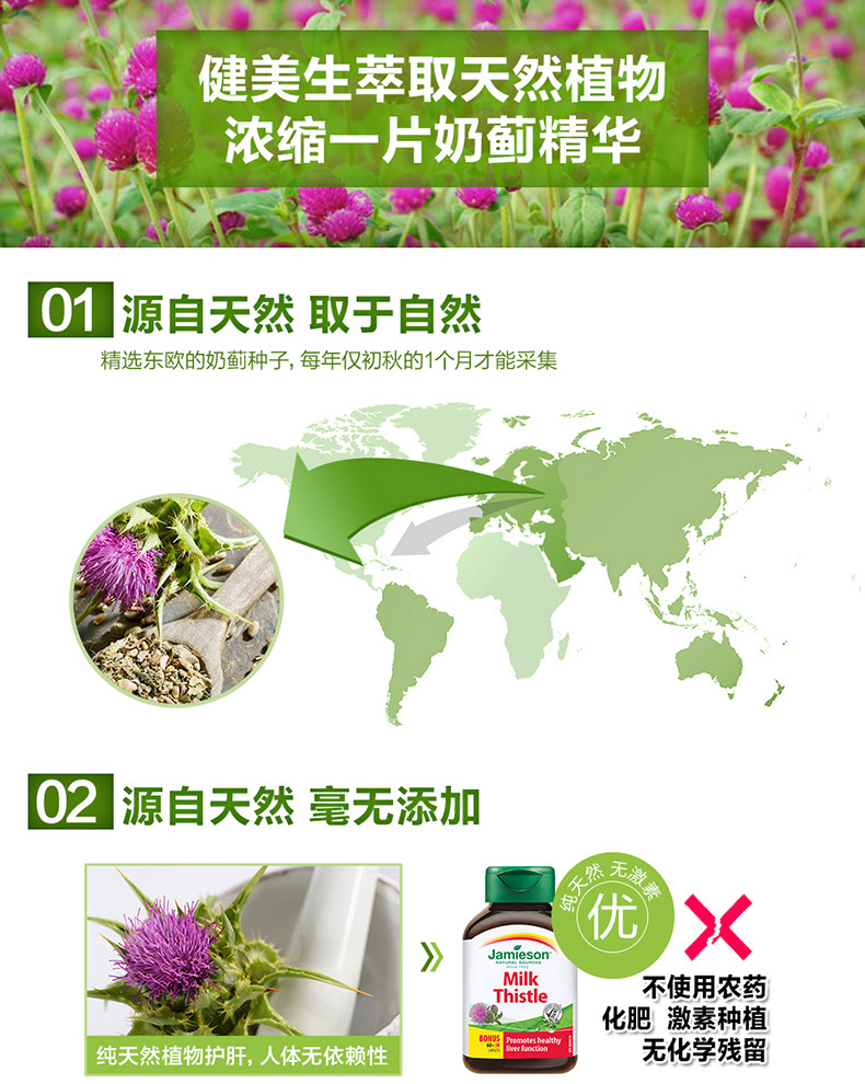 Jamieson 健美生奶蓟草片