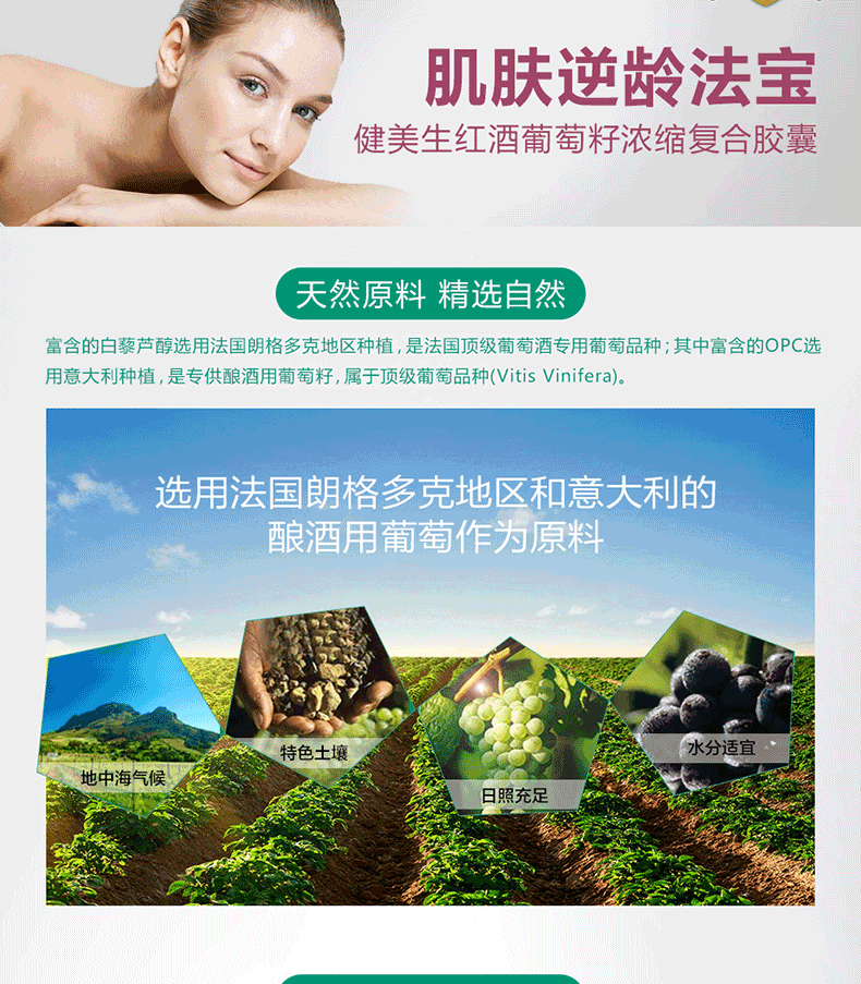 Jamieson 健美生红酒葡萄籽胶囊