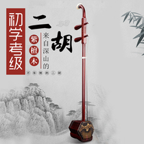 Erhu Musical Instrument Suzhou Snake Skin Purple Sandalwood Huqin Adult Students Beginners Professional Performance Erhu