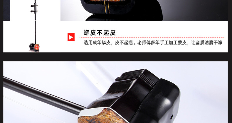 Erhu cụ mới bắt đầu thực hành sinh viên trưởng thành chuyên nghiệp chơi nhạc cụ rắn da rắn thủ công dan ti ba