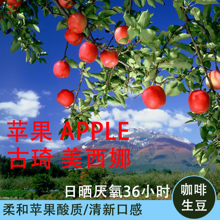 2021 production season Apple APPLE Guji Mesina 36 hours of anaerobic sun exposure, green coffee beans