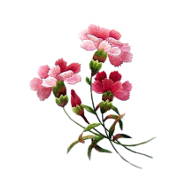 Su embroidery video teaching precision printing pure hand embroidery Su embroidery DIY kit beginner with injection