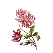 Su embroidery video teaching precision printing pure hand embroidery Su embroidery DIY kit beginner with injection