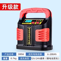 Быстрый, 300W, 12v, 24v