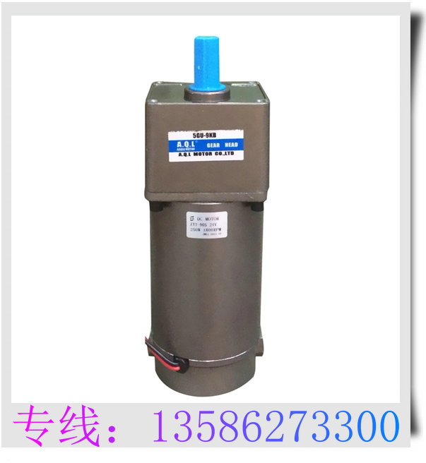 DC DC 300W permanent magnet carbon brush gear adjustable speed high torque gear motor speed ratio 100