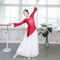 Classical dance body rhyme with female Chinese dance and ballet in the shape of a modern dance performance art and dance dress