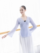 Ballet dance practice suit Female adult classical dance top gauze suit Body rhyme suit Body suit Modern dance suit