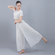 Elegant chiffon modern dance practice clothes pants Classical dance clothes Female dance performance clothes National dance clothes Dance wide-legged pants
