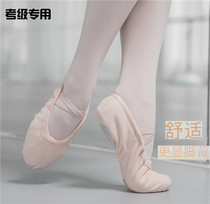 Adult classical dance shoes Canvas dance shoes Soft-soled practice shoes Grading yoga pink ballet shoes Cat claw shoes
