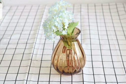 Ваза орнаментальная стеклянная ваза прозрачная гидропонная ваза гостиная Европа