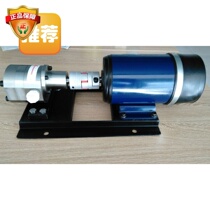 Grinding aid pump 304 stainless steel chemical electric gear metering pump cement grinding aid metering pump gear pump