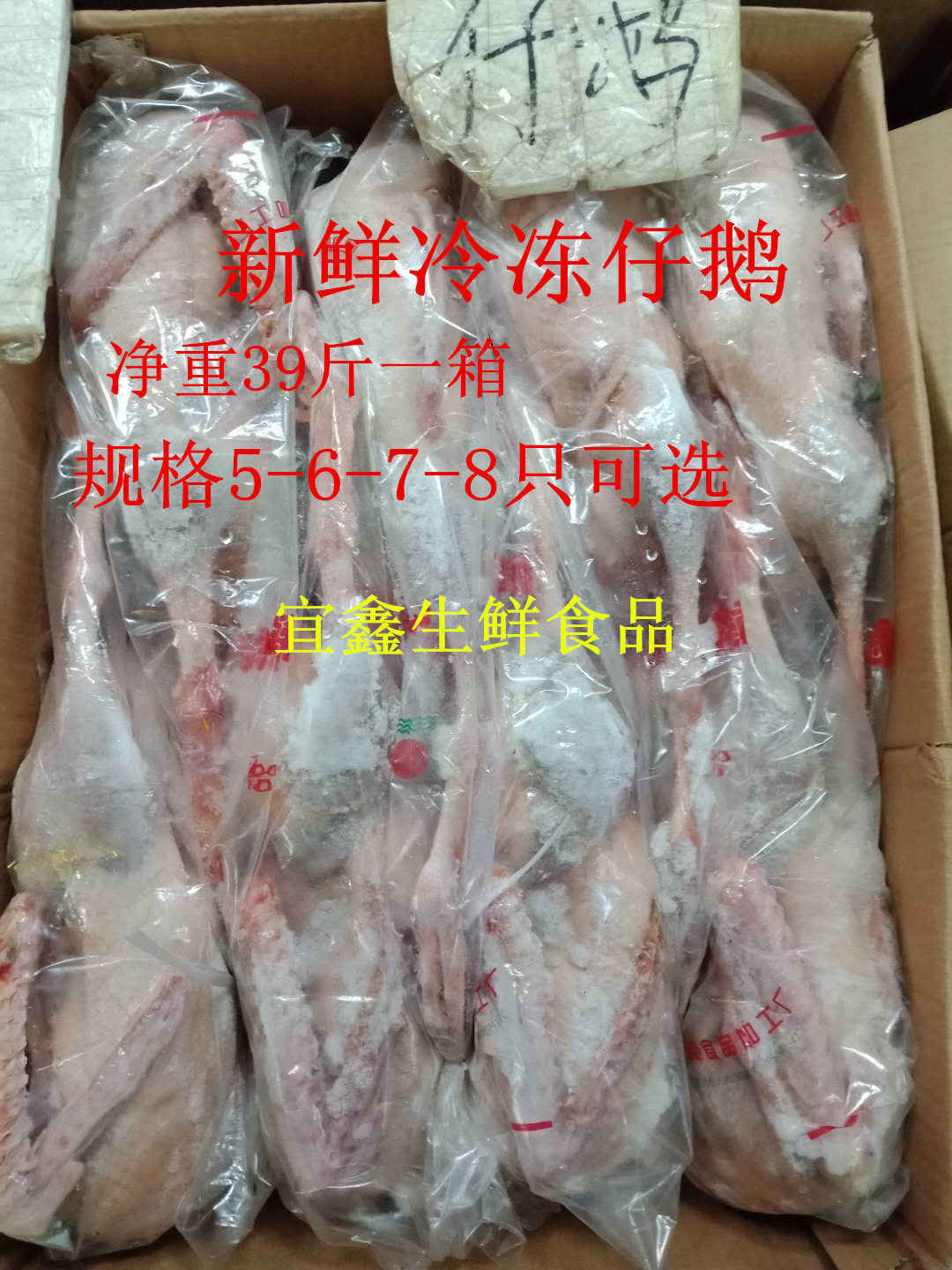 Fresh frozen paparazzi goose white strip goose whole goose 40 catty 5-8 Only loaded with optional river Zhejiang and Shanghai