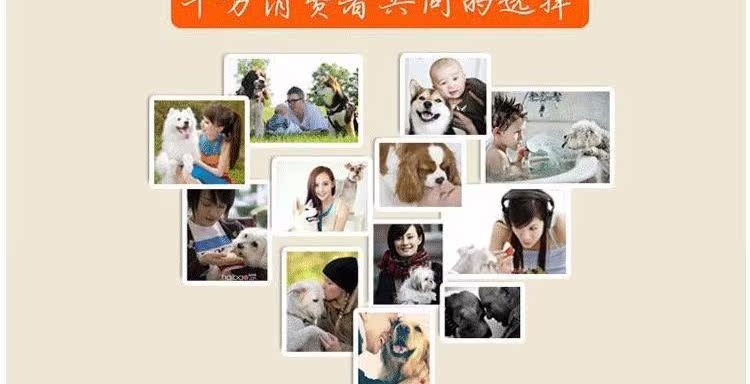 Pet Yanshoubao trung niên mèo, chó, chó, chó, vitamin, dinh dưỡng động vật, sản phẩm sức khỏe, kéo dài tuổi thọ, lão hóa sữa cho chó rẻ