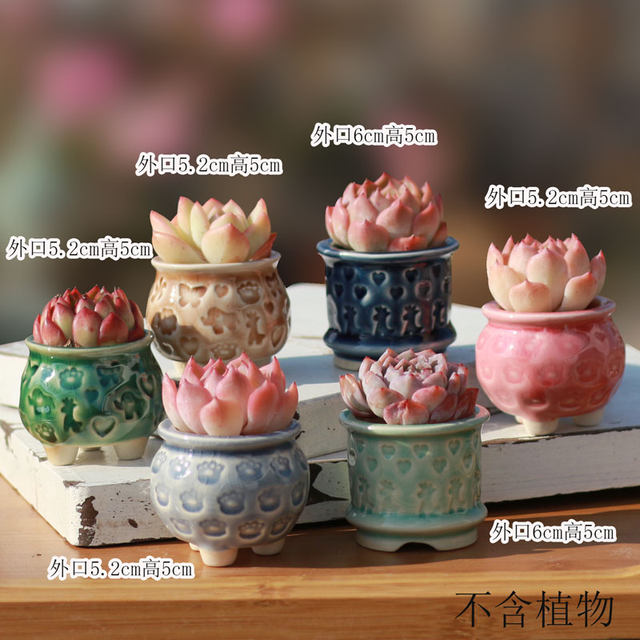 Kiln-changing meaty medical stone flowerpot retro big mouth ceramic set purple sand water-absorbing thumb old pile seal spell