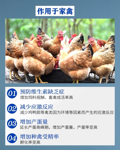 Электролитические многомерные звери для свинины, куриная птица -птица водный витамин 227 г/сумка