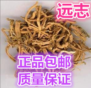 Chinese herbal medicine Yuanzhi Yuanzhi meat Yuanzhi powder made Yuanzhi new goods quality assurance 500g full 2 ​​pieces