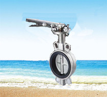 D71X-16P stainless steel 304 clip butterfly valve hard seal butterfly valve with fluorine lining rubber lining butterfly valve factory direct