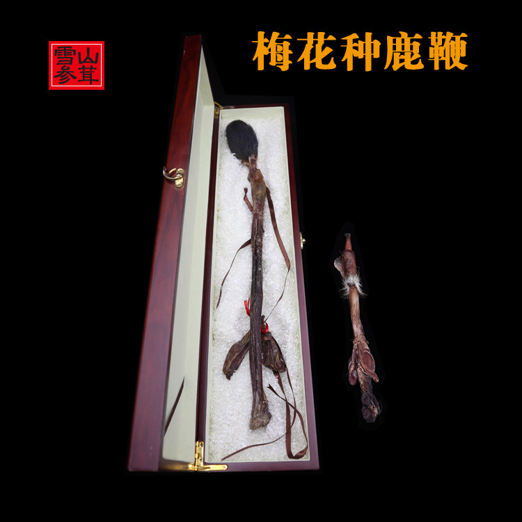 Sika deer whip gift box Jilin Changbai Mountain male nourishing bubble wine dry deer whip whole root can be matched with deer antler slices