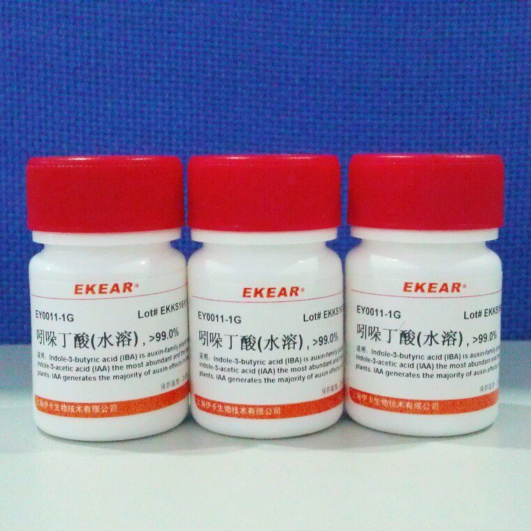 Potassium Indolebutyrate IBA (Water Soluble) IBA-K Cuttings Rooting Improve Fruit Set Rate Tissue Culture Products 99%