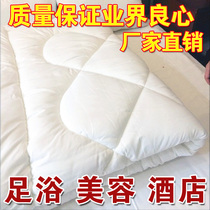 Beauty salon quilt core Massage foot bath health club quilt beauty salon special quilt core spring autumn and winter quilt