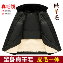 Middle-aged and elderly sheepskin wool one sheepskin jacket jacket winter thickened mens wool cotton clothes Northeast cotton jacket