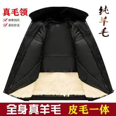 Middle-aged and elderly sheepskin wool one sheepskin jacket jacket winter thickened men's wool cotton clothes Northeast cotton jacket