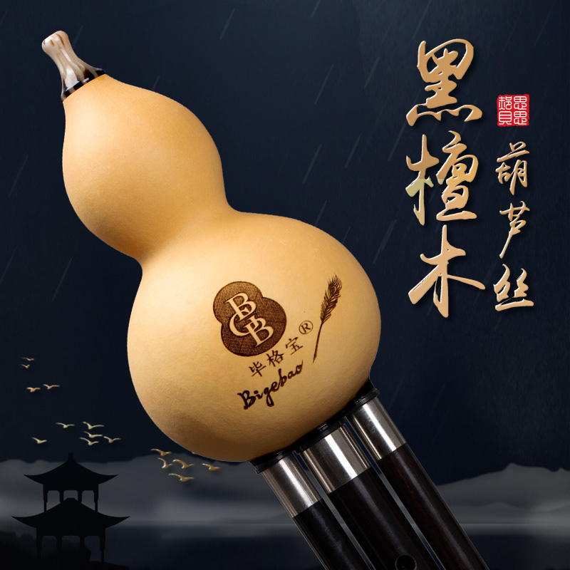 Yunnan Bigebao Ebony Gourd Silk Instrument Flagship Store gF key C key B key professional playing type real gourd
