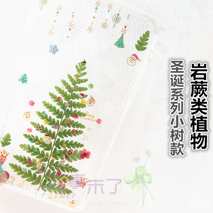 Evergreen Fern Christmas Tree Subsection Natural Drying Flowers Embossing Drop Glue Mobile Phone Protection Shell Material Plant Specimen Diy Material