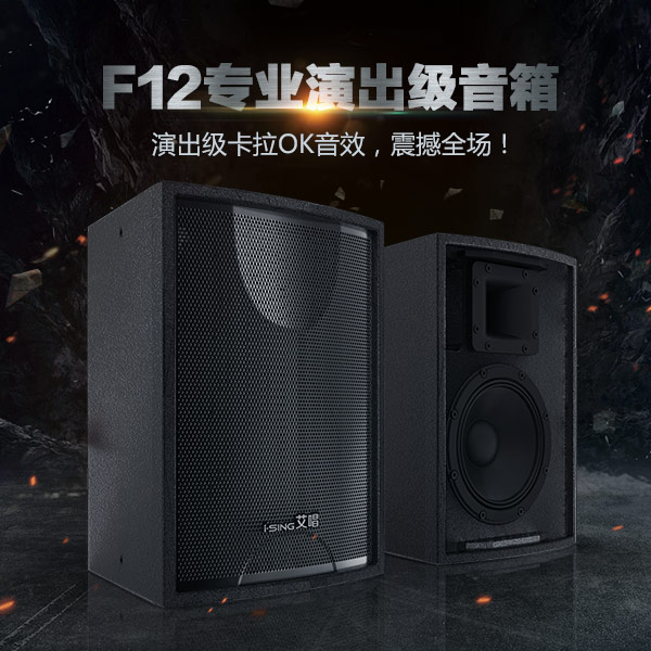 Asinging F12 Professional Performance Grade 12 Inch Speaker Stage Performance Bar DJ Open-air Karaoke sound equipment