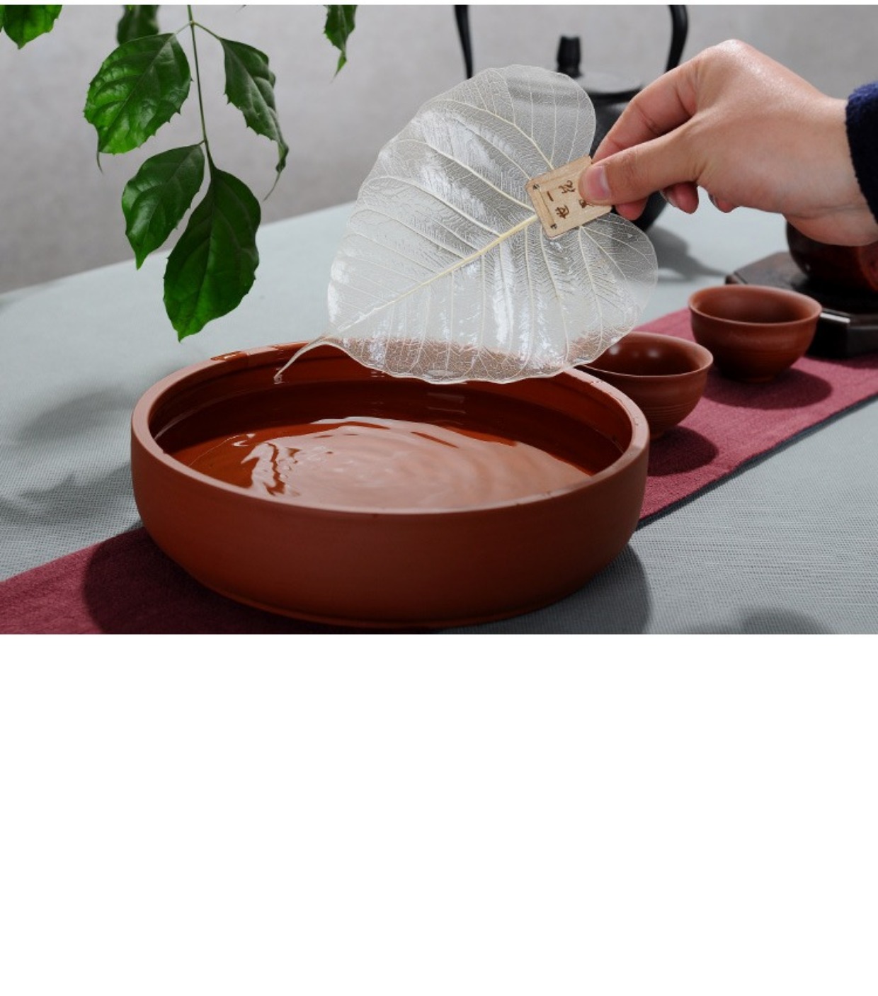 Bodhi Lá trà tự nhiên Splash Trà sáng tạo Bộ phụ kiện Bộ lọc Trà Bộ lọc Trà lá lớn bộ tách trà cao cấp