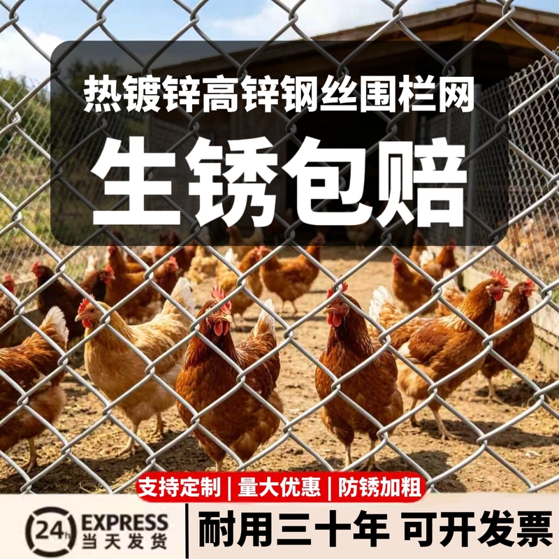 Galvanized Rust-Free Wire Mesh Fence, Chicken Protection Net, Steel Wire Mesh, Breeding Net, Orchard and Vegetable Garden Fence, Guardrail Net