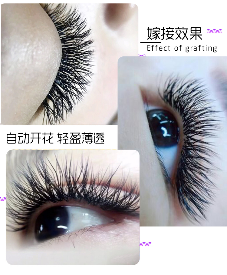 Ghép lông mi 0.07Y dệt lông mi lưới mới trồng giả camellia lông mi một giây hoa dày mi giả mie