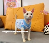 Крем - это безволосая одежда для кошки сфинкс Devin осень и зимняя детская бархатная домашняя кошка теплый жилет Бесплатная доставка