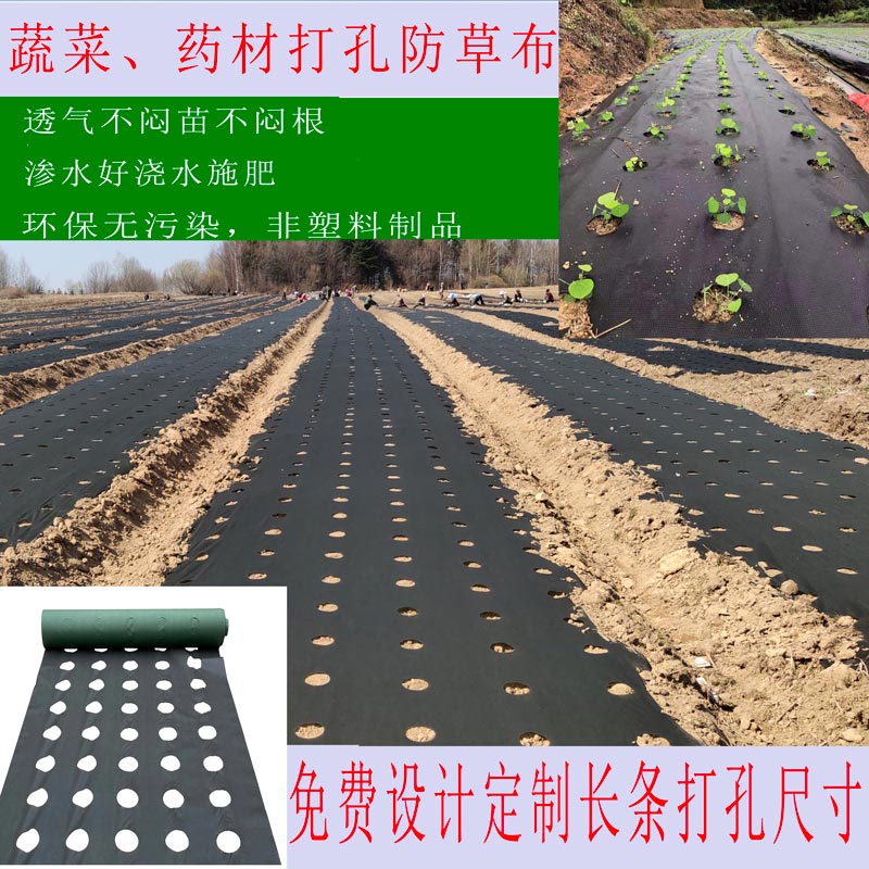 蔬菜药材开孔防草布：定制打孔地膜，渗水透气耐用带孔除草地布批发，你的种植新利器！