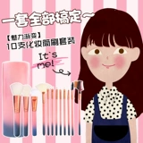 Кисть, система хранения, щетка, румяна, тональный крем, база под макияж, подходит для начинающих, полный комплект