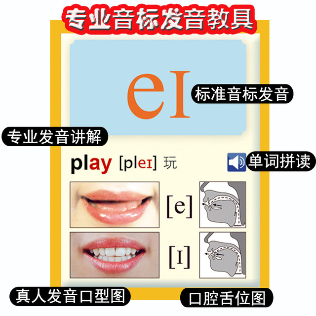 48 English International Phonetic Symbols pronunciation audio charts for the primary school students, phonetic symbols learning tools and natural phonetics wall charts