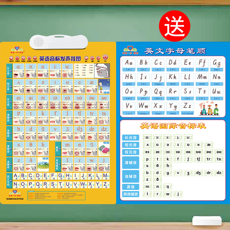 The first year of junior high school English learning artifact international phonetic alphabet pronunciation audio wall chart zero foundation 26 letters 48 phonetic symbols entry