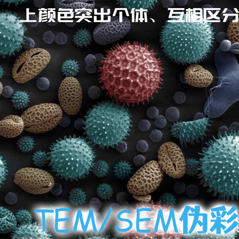 TEM测试中的高分辨透射电镜如何选择?聚焦2026球差校正技术-测试-淘宝百科网