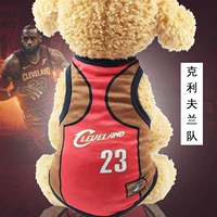 Красные коричневые кавалеры 23