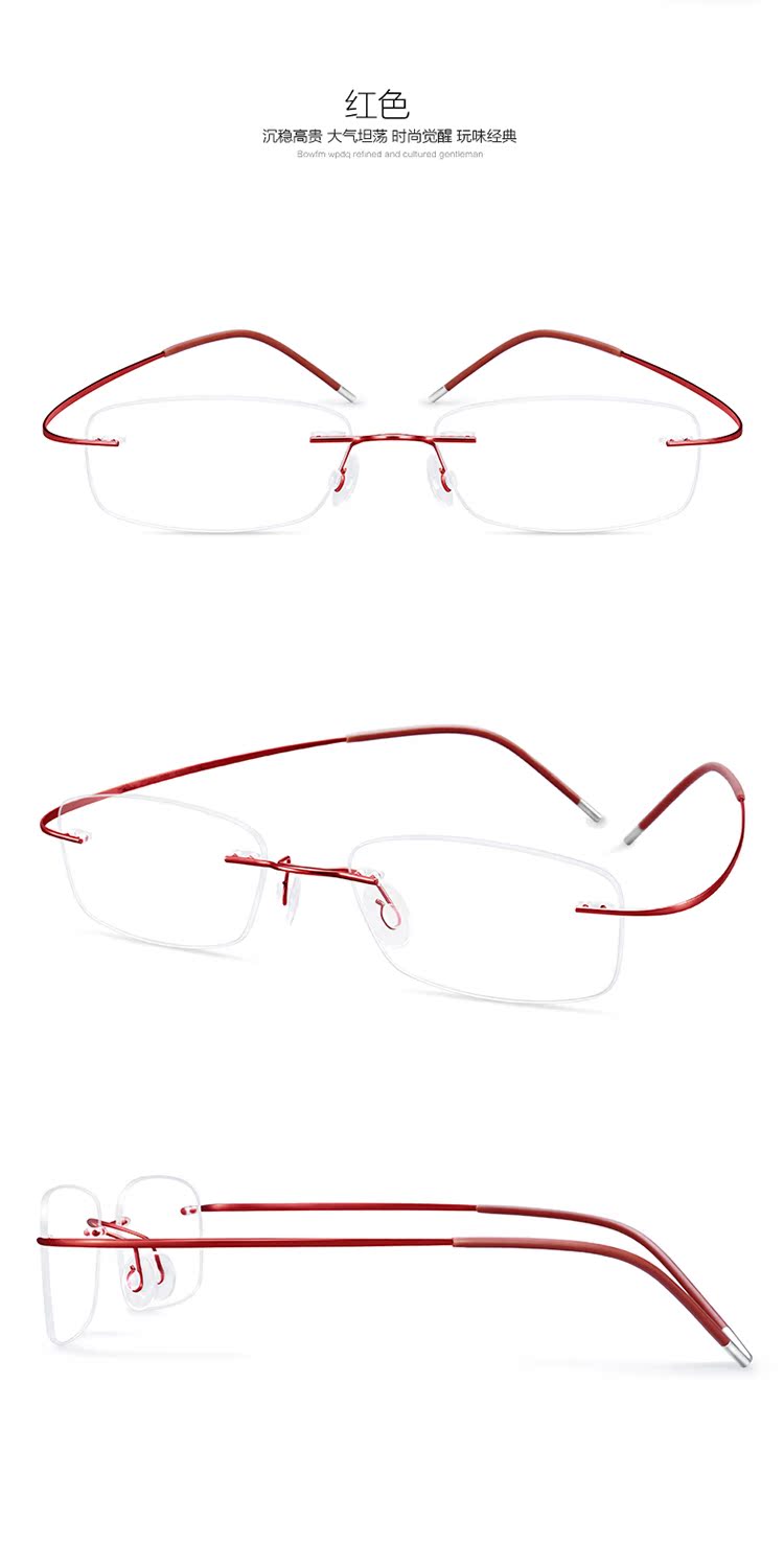 Montures de lunettes PULAIS en Alliage de titane - Ref 3140725 Image 28