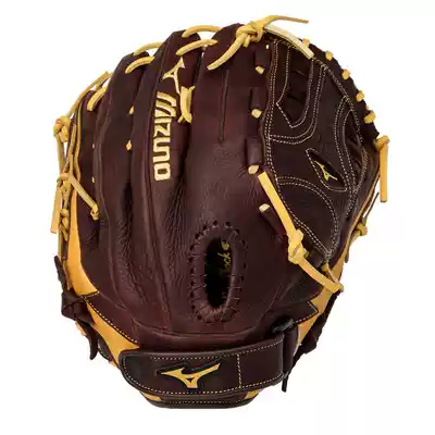 Mizuno Mizuno Franchise Advanced Cowhide Baseball Gloves