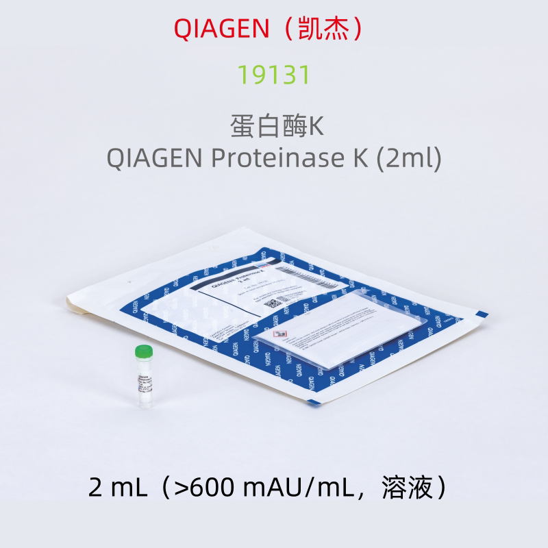 QIAGEN  19131  蛋白酶K QIAGEN Proteinase K (2ml)  科研试剂