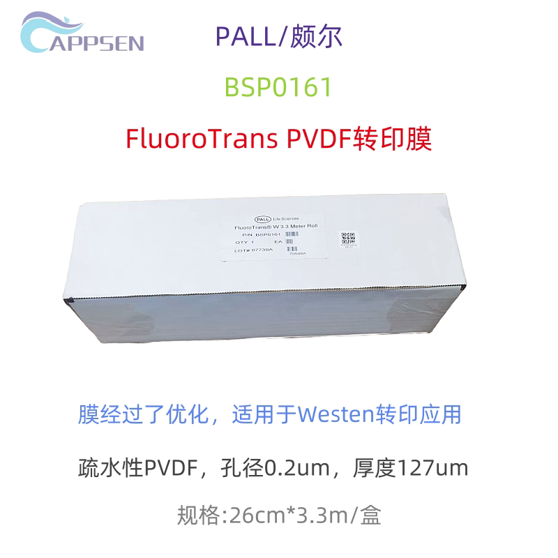PALL/波尔 FluoroTrans PVDF转印膜 孔径0.2um 厚度127um BSP0161