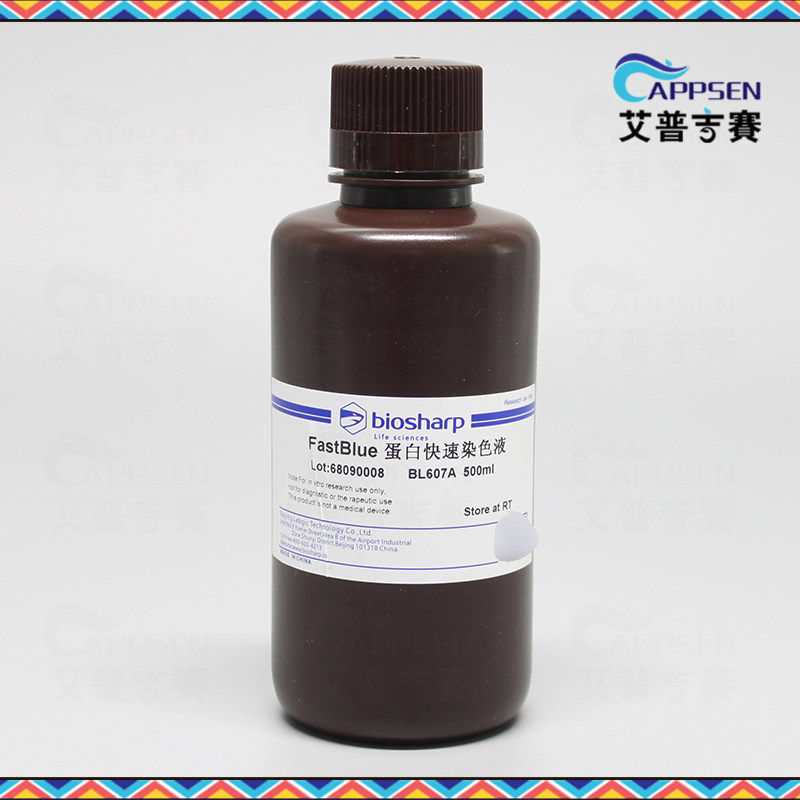 Biosharp BL607A FastBlue蛋白快速染色液 蛋白电泳与染色 500ml