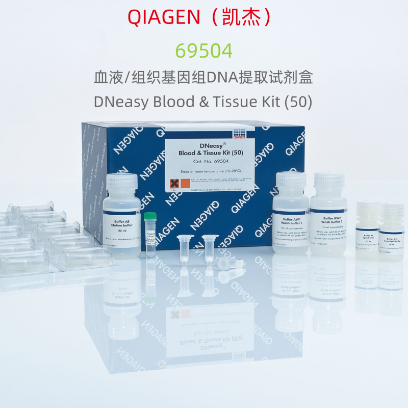QIAGEN（凯杰） 69504  血液/组织基因组DNA提取试剂盒  科研试剂