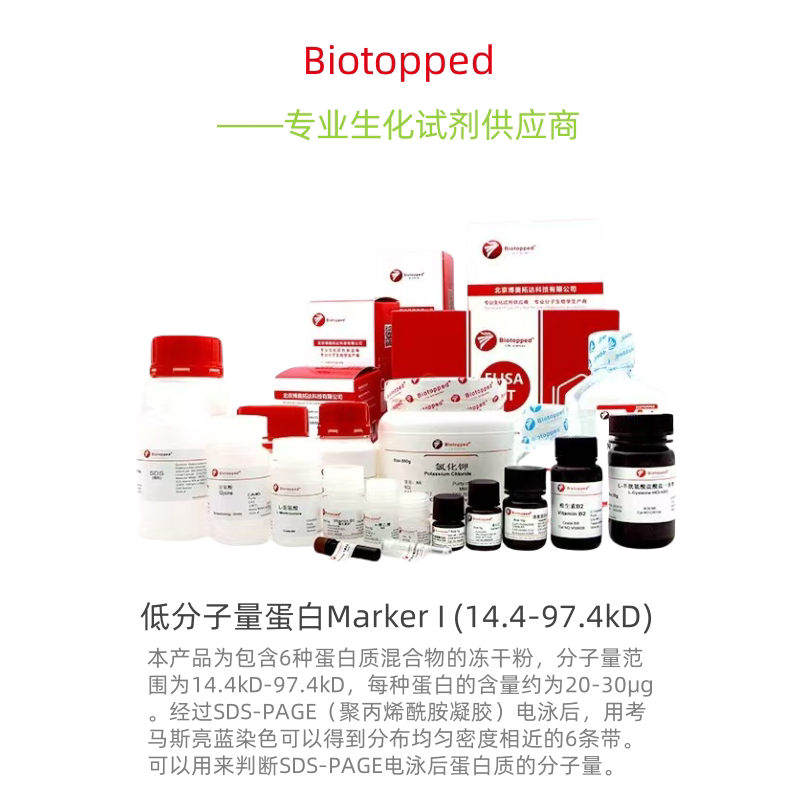 Biotopped实验试剂 RD6102A 低分子量蛋白Marker I (14.4-97.4kD)