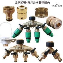 Garden automatic watering full copper joint nipple 4 points double water separator irrigation micro spray water gun copper fittings