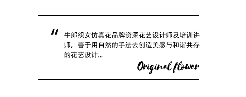 Bắc Âu Nhảy Múa Phong Lan Nhân Tạo Hoa Nhựa Trang Trí Nhân Tạo Hoa Phòng Khách Nhà Trang Trí Hoa Phong Lan Trong Nhà Phối Hoa hoa mai giả