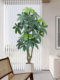 Artificial Green Plant Money Tree, Simulated Plant Potted Plant, Indoor Flower Decoration for Living Room, Large Plastic Bonsai